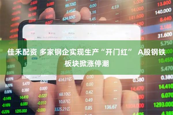 佳禾配资 多家钢企实现生产“开门红”  A股钢铁板块掀涨停潮