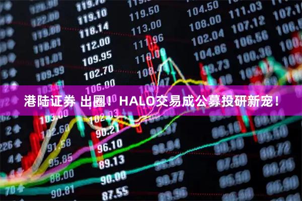 港陆证券 出圈！HALO交易成公募投研新宠！