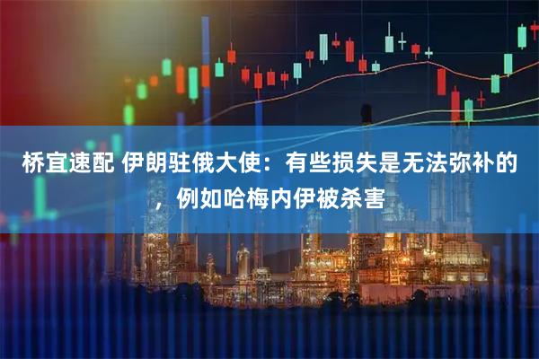 桥宜速配 伊朗驻俄大使：有些损失是无法弥补的，例如哈梅内伊被杀害