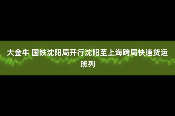 大金牛 国铁沈阳局开行沈阳至上海跨局快速货运班列