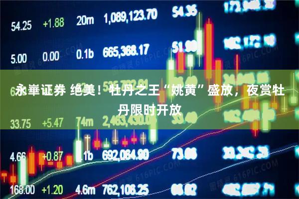 永崋证券 绝美！牡丹之王“姚黄”盛放，夜赏牡丹限时开放