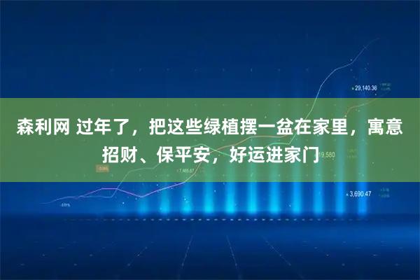 森利网 过年了，把这些绿植摆一盆在家里，寓意招财、保平安，好运进家门