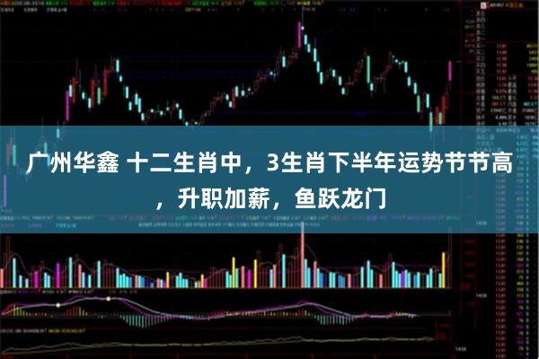 广州华鑫 十二生肖中，3生肖下半年运势节节高，升职加薪，鱼跃龙门