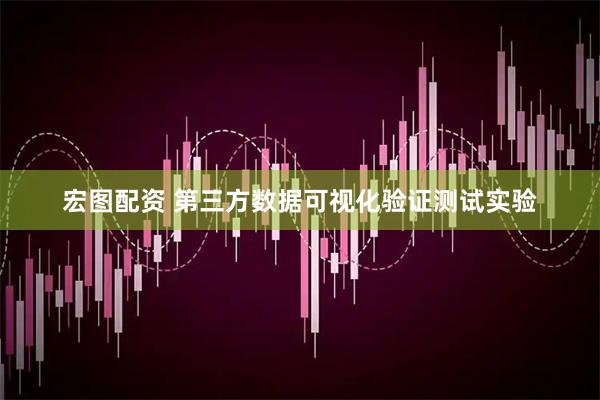 宏图配资 第三方数据可视化验证测试实验