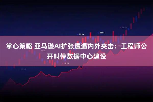 掌心策略 亚马逊AI扩张遭遇内外夹击：工程师公开叫停数据中心建设