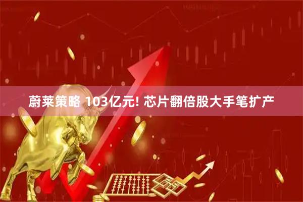 蔚莱策略 103亿元! 芯片翻倍股大手笔扩产