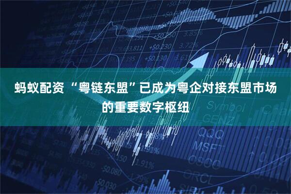 蚂蚁配资 “粤链东盟”已成为粤企对接东盟市场的重要数字枢纽
