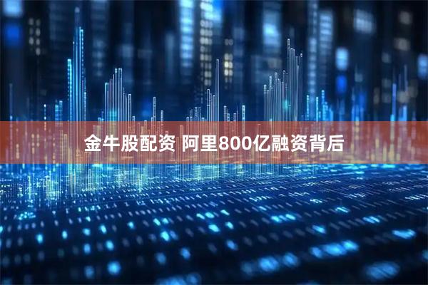 金牛股配资 阿里800亿融资背后