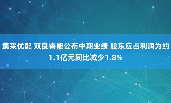 集采优配 双良睿能公布中期业绩 股东应占利润为约1.1亿元同比减少1.8%