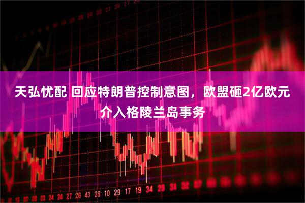 天弘忧配 回应特朗普控制意图,欧盟砸2亿欧元介入格陵兰岛事务